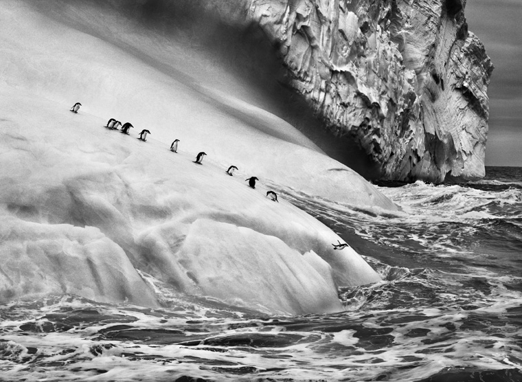 Sebastião Salgado – Genesi